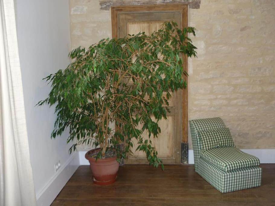 Le Presbytere - Touillon, Jacuzzi, 4 Chambres Pour 10 Exterior photo